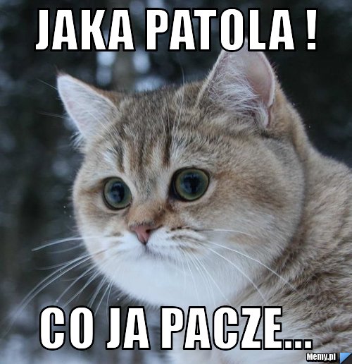 Jaka patola ! co ja pacze...
