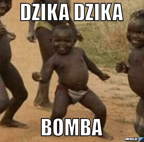 DZIKA DZIKA BOMBA