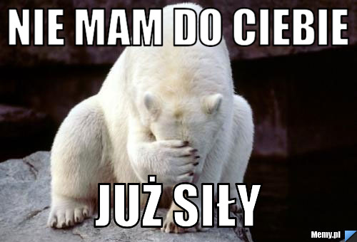 Nie mam do ciebie już siły