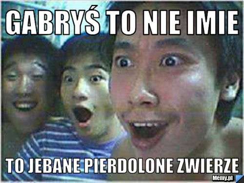 Gabryś to nie imie  to jebane pierdolone zwierze