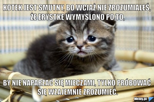 Kotek jest smutny, bo wciąż nie zrozumiałeś, że erystkę wymyślono po to, by nie naparzać się mieczami, tylko próbować się wzajemnie zrozumieć.