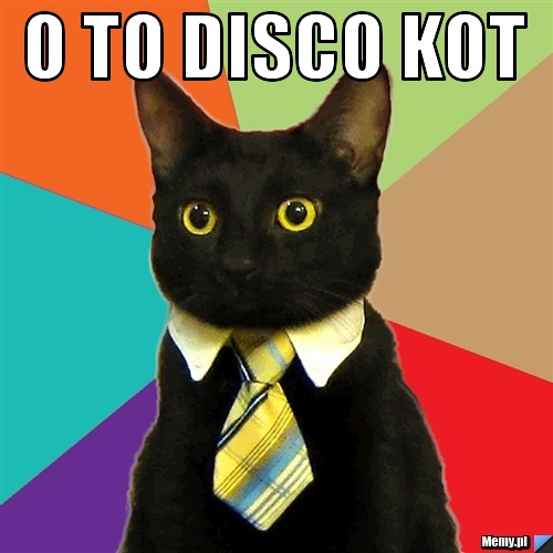 O TO DISCO KOT 