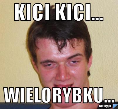 Kici kici... wielorybku...
