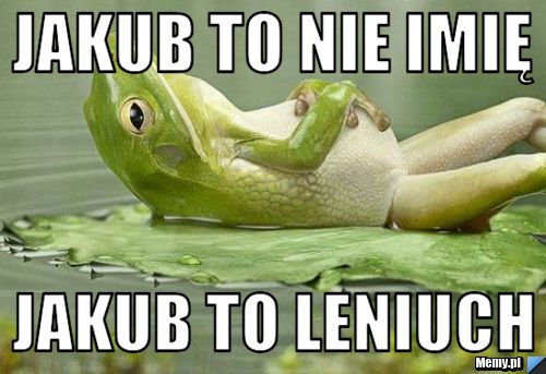 Jakub to nie imię jakub to leniuch