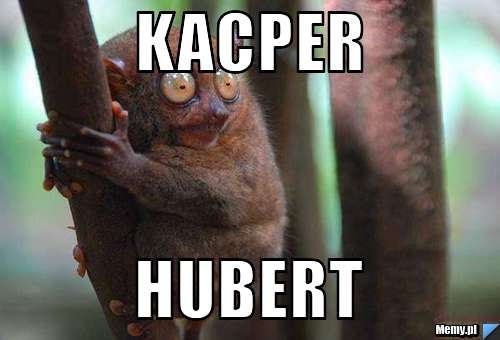 Kacper            Hubert