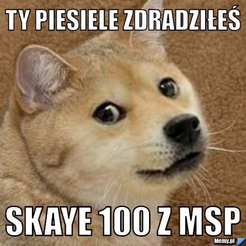 Ty piesiele zdradziłeś skaye 100 z msp