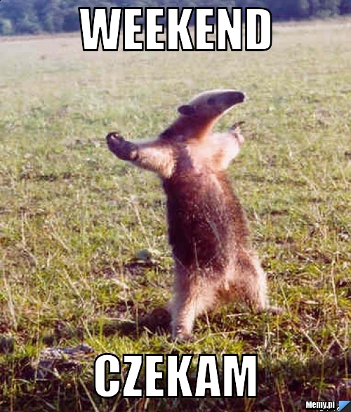 Weekend  czekam 