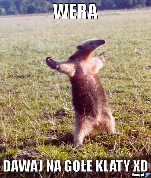 Wera dawaj na gołe klaty xD