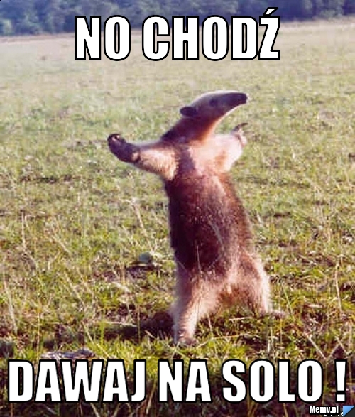 NO CHODŹ DAWAJ NA SOLO !
