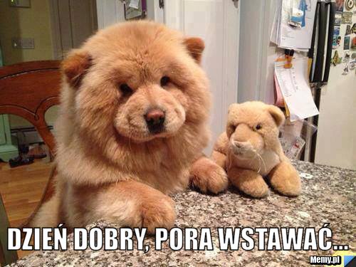  dzień dobry, pora wstawać...