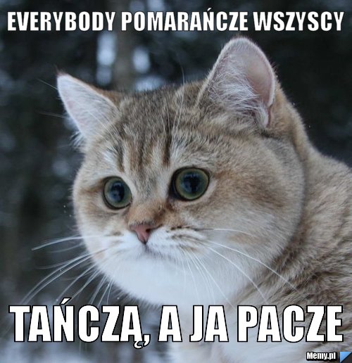 EVERYBODY POMARAŃCZE WSZYSCY TAŃCZĄ, A JA PACZE