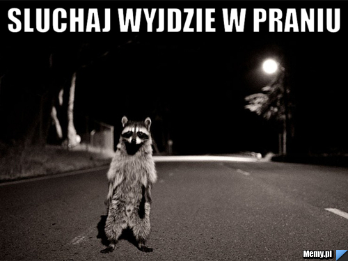 Sluchaj wyjdzie w praniu 