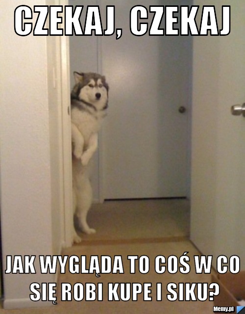 Czekaj, czekaj  jak wygląda to coś w co się robi kupe i siku?