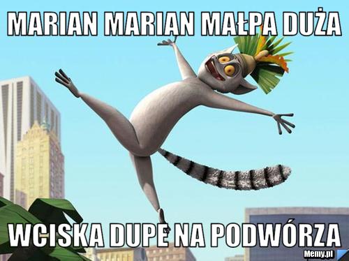 Marian Marian małpa duża Wciska dupe na podwórza
