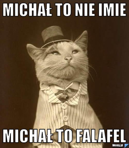Michał to nie imie Michał to FALAFEL