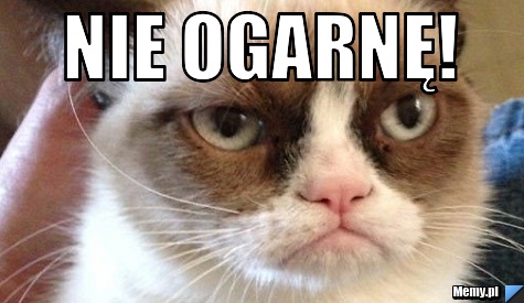 NIE OGARNĘ! 