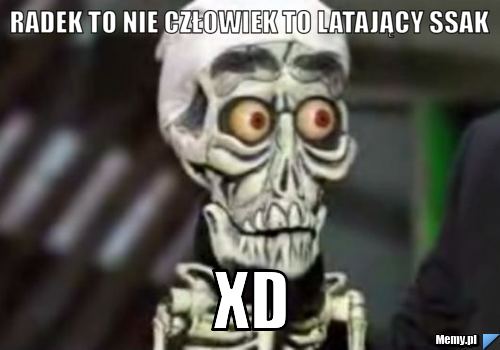 Radek to nie człowiek to latający ssak xd