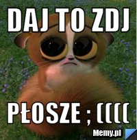 Daj to zdj  płosze ; ((((