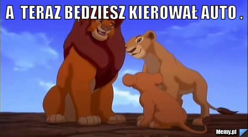 A  teraz będziesz kierował auto . 