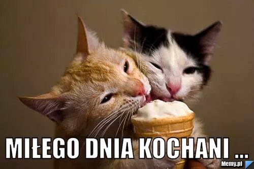  MIŁEGO DNIA kochani ...