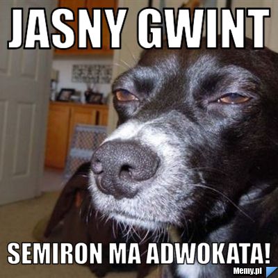 Jasny gwint semiron ma adwokata!