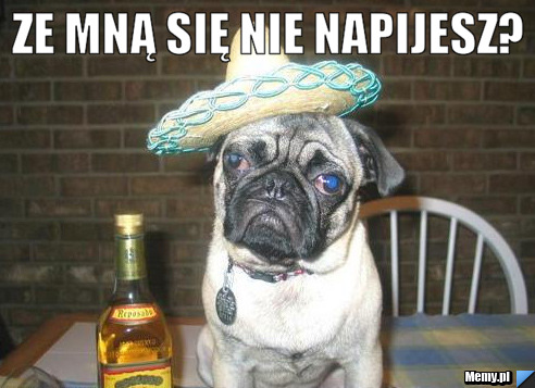 Ze mną się nie napijesz? 