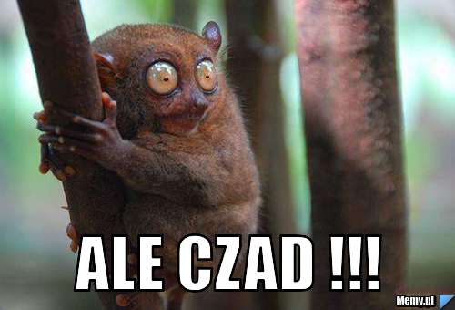  ale czad !!!