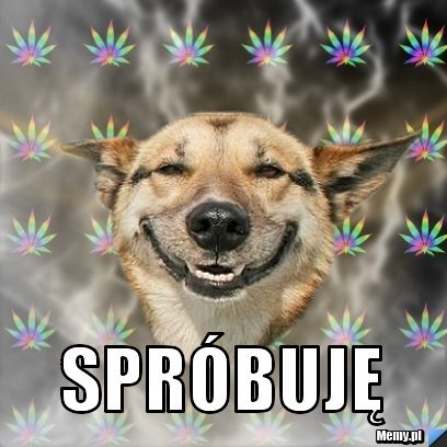  spróbuję