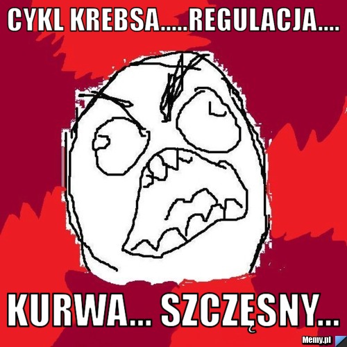 Cykl krebsa.....regulacja.... kurwa... szczęsny...