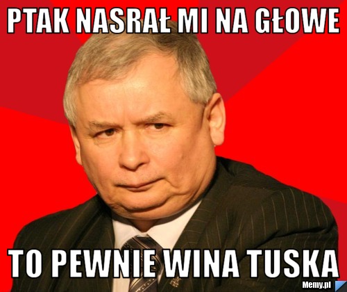 Ptak nasrał mi na głowe To pewnie wina Tuska