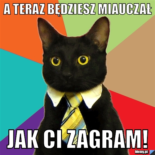 A teraz będziesz miauczał Jak ci zagram!