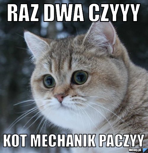 Raz Dwa Czyyy Kot Mechanik Paczyy 