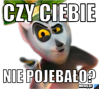 Czy ciebie  nie pojebało?