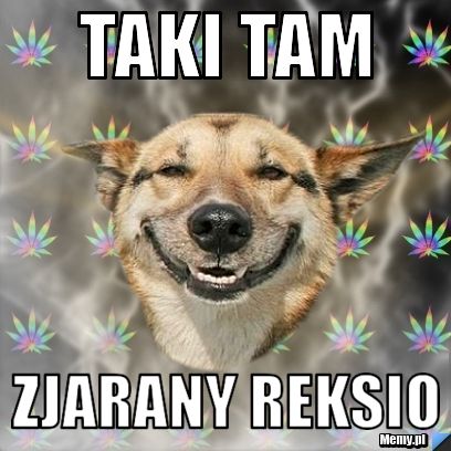 Taki Tam  Zjarany Reksio