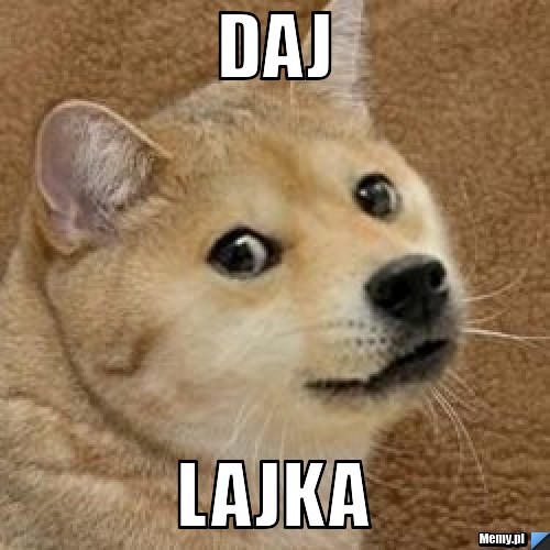 Daj lajka