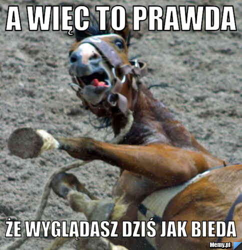 A więc to prawda że wyglądasz dziś jak bieda