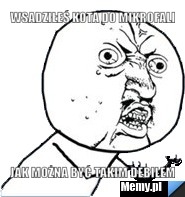 Wsadziłeś kota do mikrofali Jak można być takim debilem