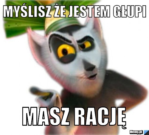 Myślisz że jestem głupi Masz rację