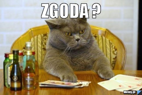 Zgoda ? 