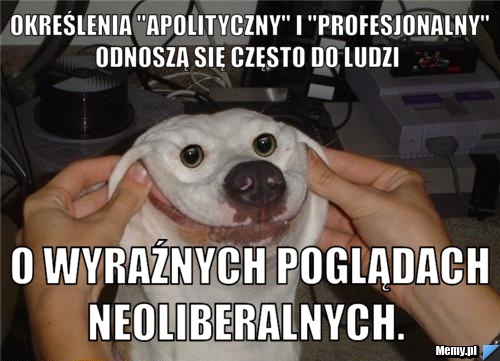  określenia "apolityczny" i "profesjonalny" odnoszą się często do ludzi   o wyraźnych poglądach neoliberalnych. 