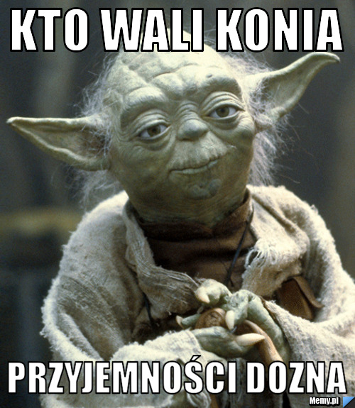 Kto wali konia  przyjemności dozna