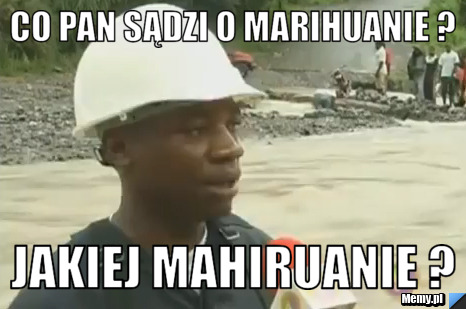 Co pan sądzi o Marihuanie ?  Jakiej Mahiruanie ? 