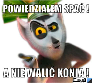 Powiedziałem spać ! A nie walić konia !