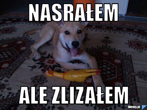 NASRAŁEM ALE ZLIZAŁEM