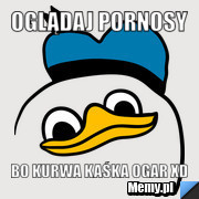 Oglądaj pornosy Bo kurwa kaśka ogar xd
