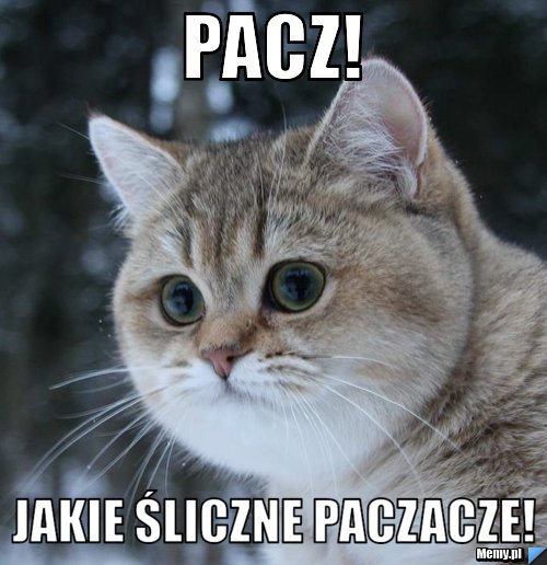 Pacz! Jakie śliczne paczacze!