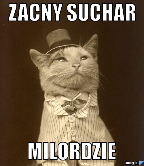Zacny suchar milordzie