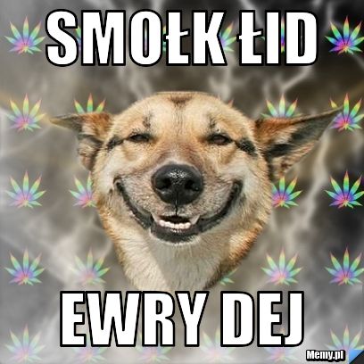 Smołk łid ewry dej