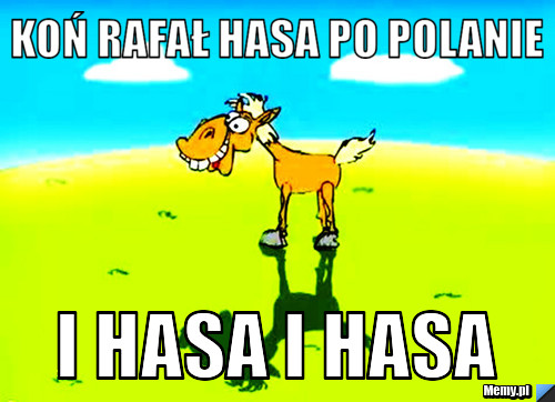Koń rafał hasa po polanie i hasa i hasa