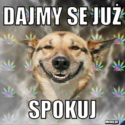 DAJMY SE JUŻ  SPOKUJ